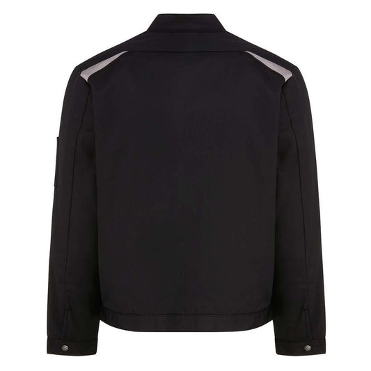 Men's Insulated Colorblocked Jacket - Back