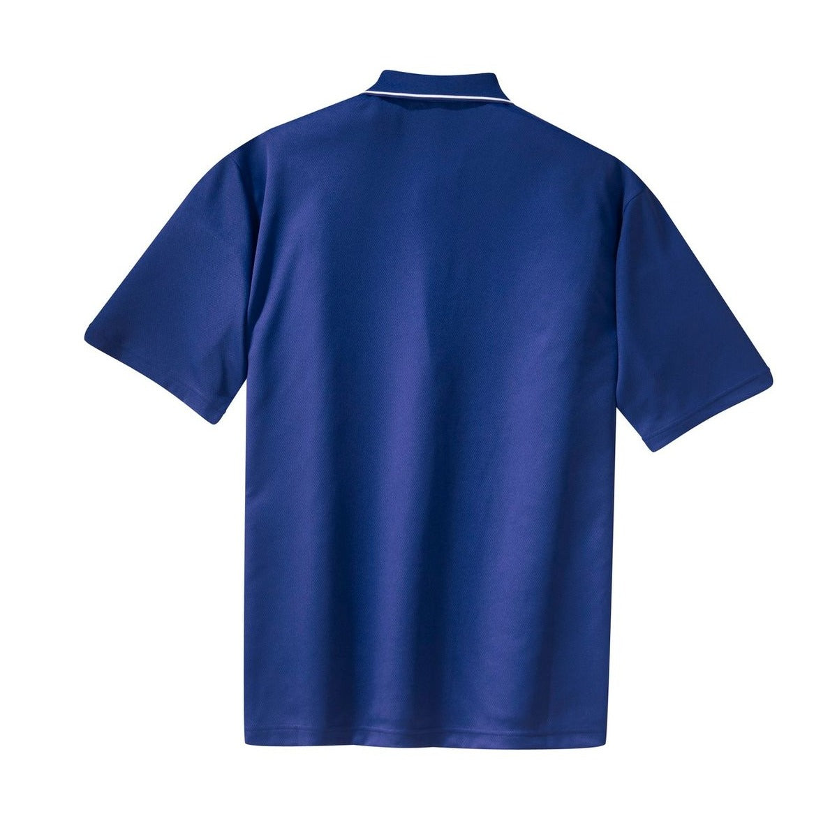Royal/ White - Back
