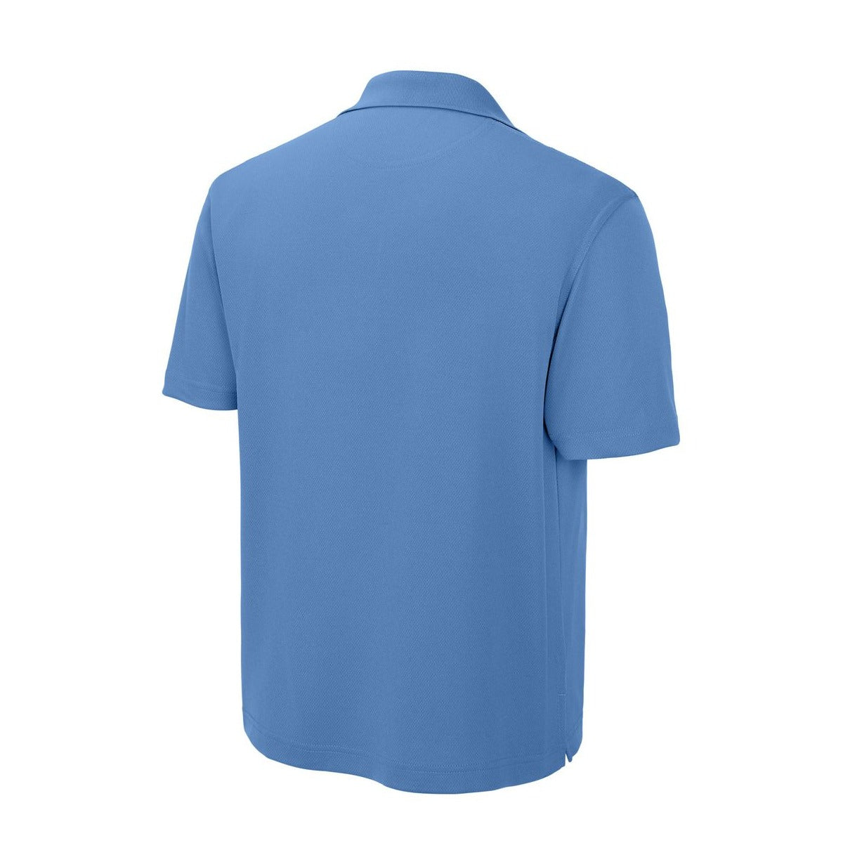 Blueberry - Back