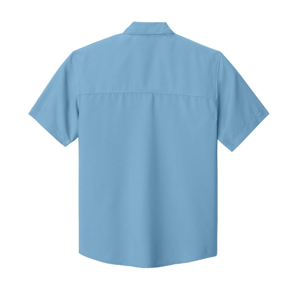Carolina Blue - Back