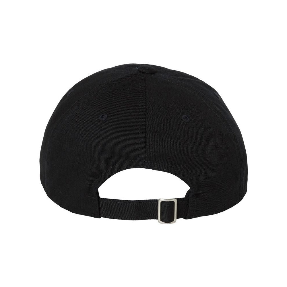 EcoWash™ Dad Hat - Back