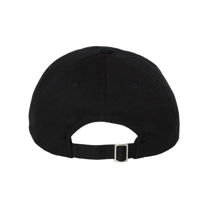 EcoWash™ Dad Hat - Back