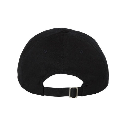 EcoWash™ Dad Hat - Back