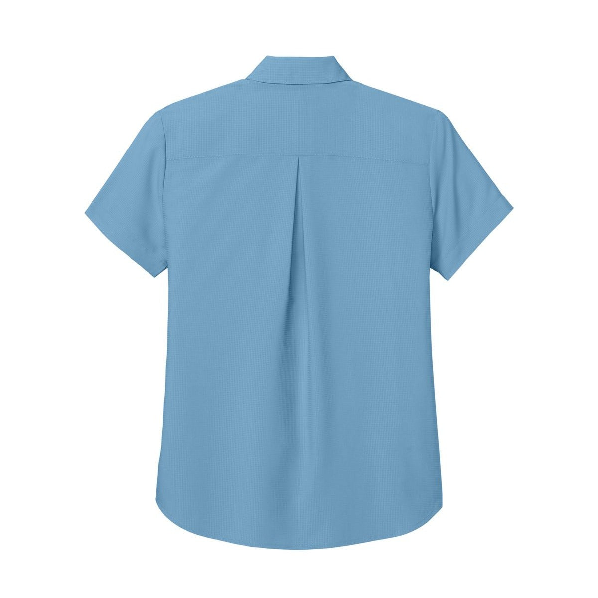 Carolina Blue - Back