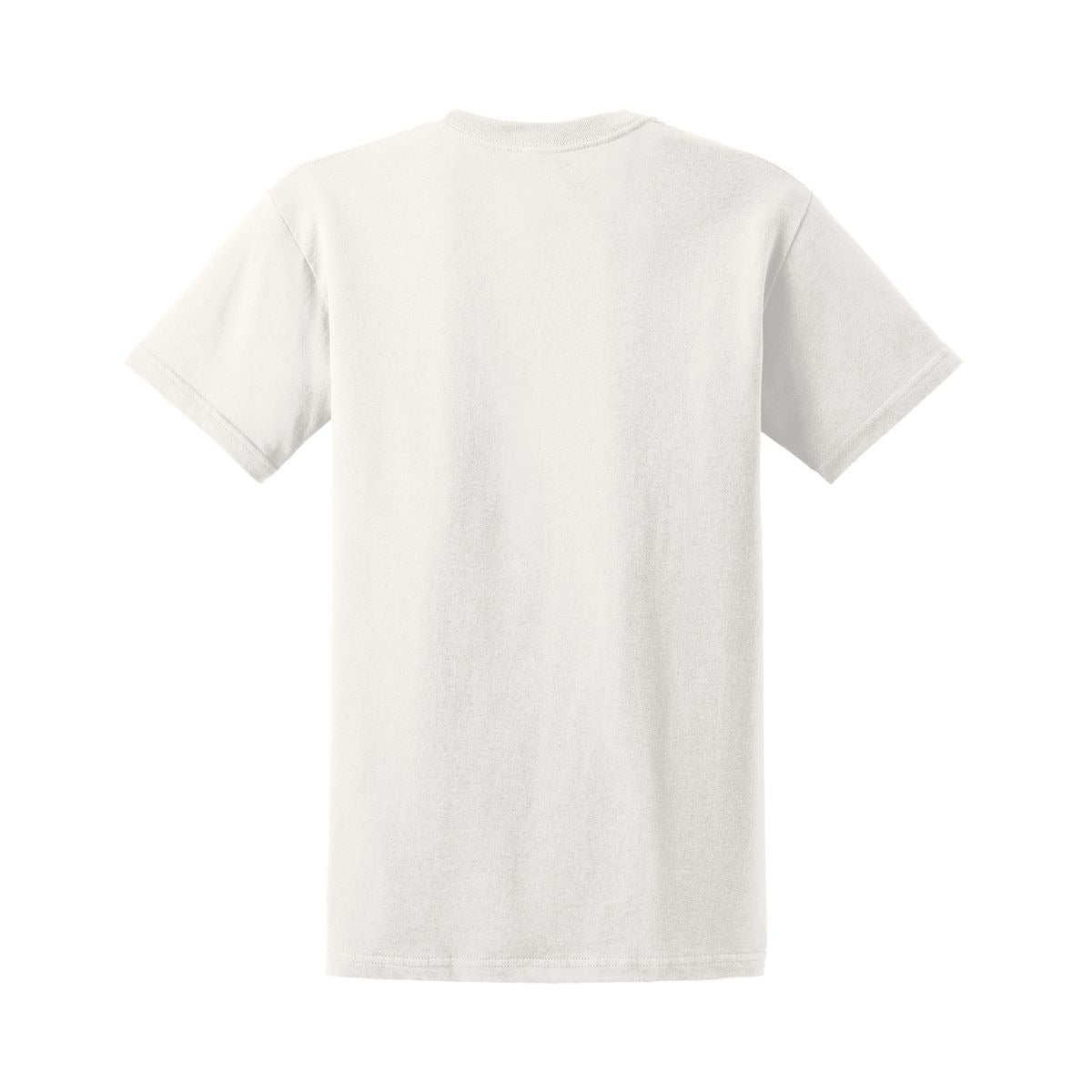 PFD - Back