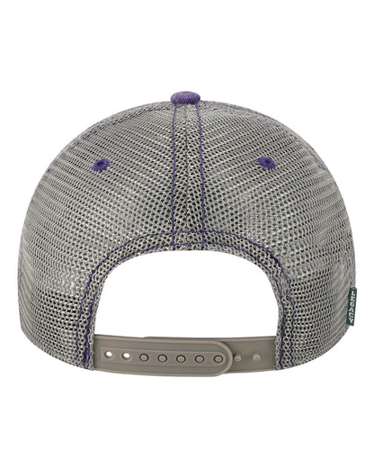 Purple/ Grey - Back